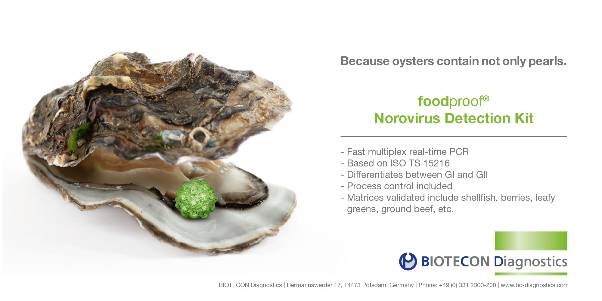 Norovirus in an oyster